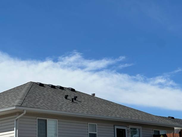 Fast & Reliable Emergency Roof Repairs in Lamar, MO